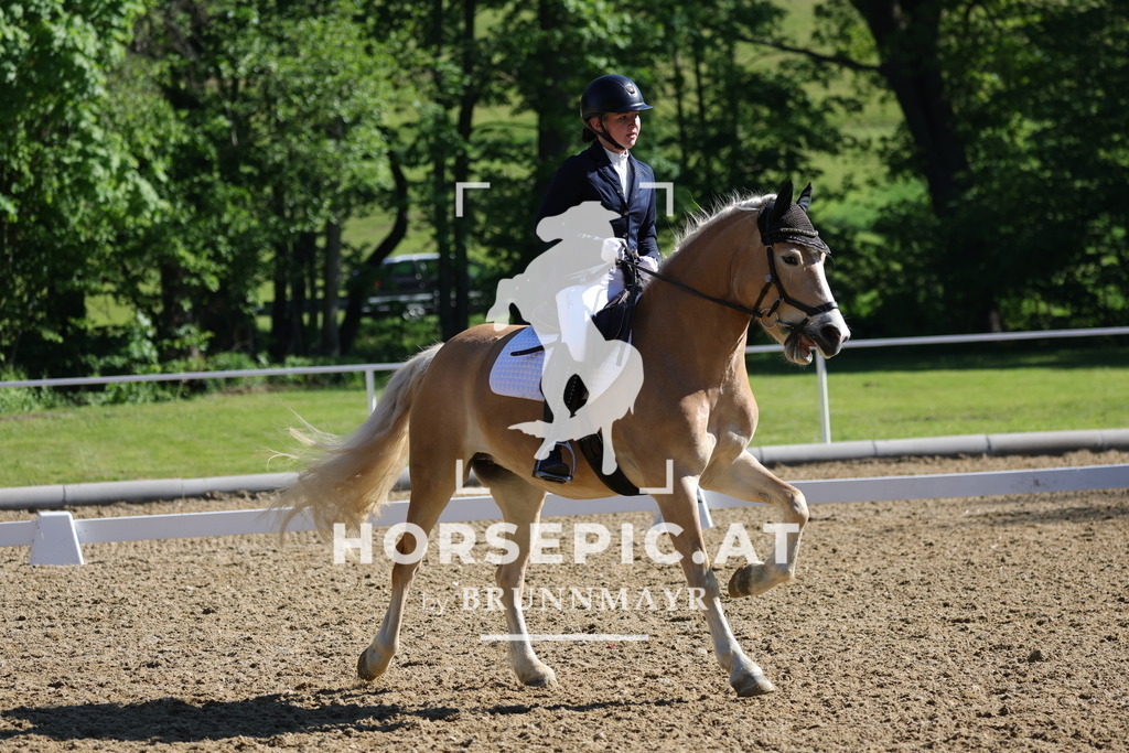 0P6A9618 | Willkommen bei Brunnmayr - Design & Fotografie – Ihrem Spezialisten für Reitturniere und Pferdeveranstaltungen in Oberösterreich, Salzburg und Bayern! Seit über 17 Jahren sind wir leidenschaftlich dabei.