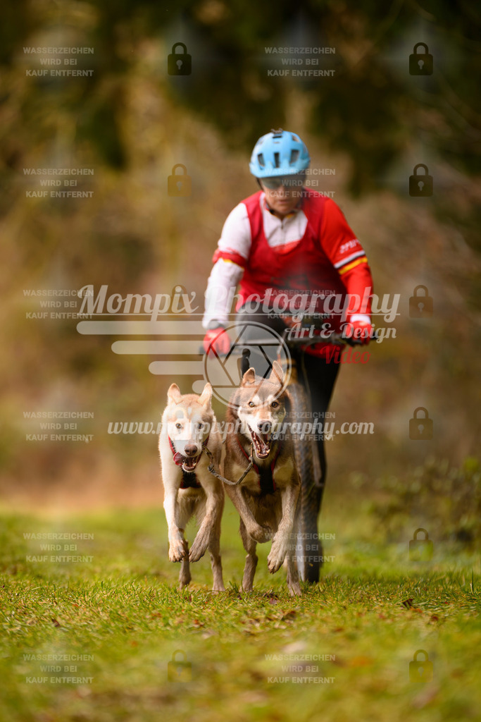 MompixPhotography_2SSTSSBW_2025_SO_Scooter-82 | PayLife