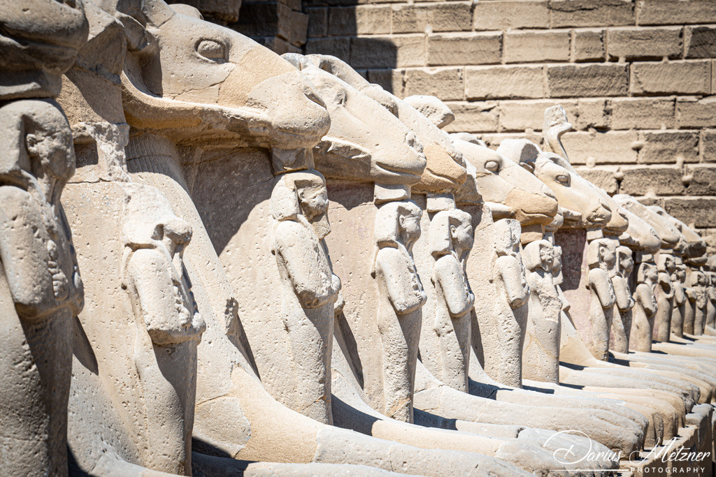 Bilder aus Luxor | Bilder aus Luxor