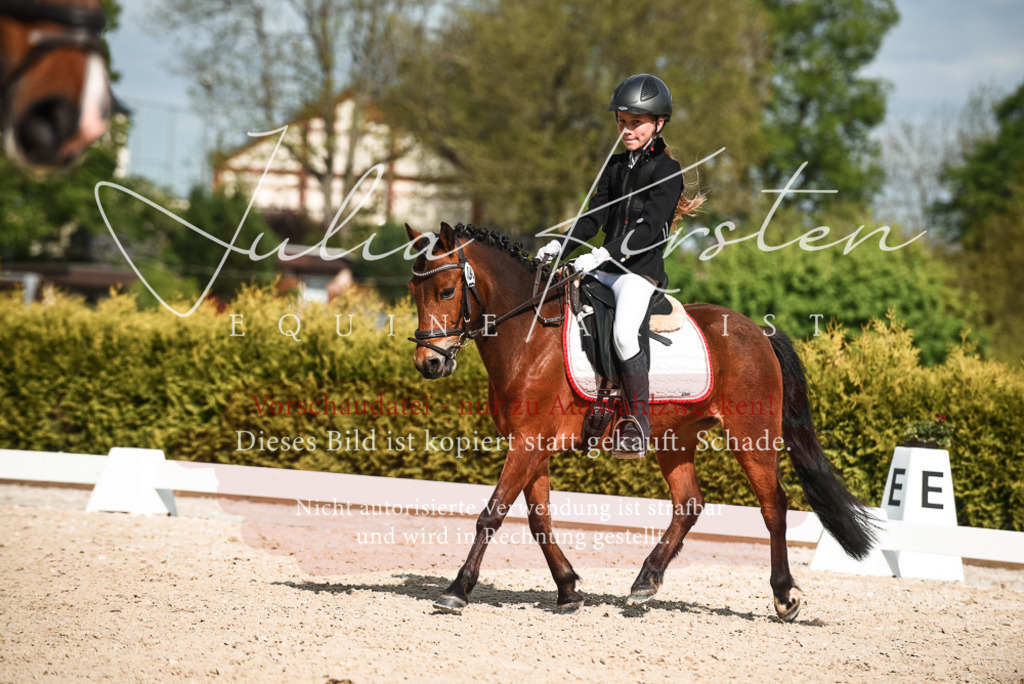 20230518_JK-Röhrsdorf-12-0384 | Pferde- und Turnierfotografie in Westsachsen. Pferdeportraits, Auftragszeichnungen und intuitive Kunst.