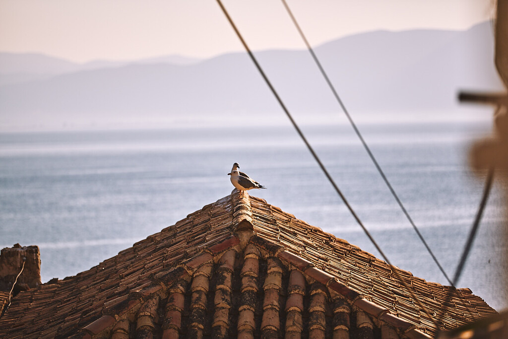 _T6A9259 | prints.tavailable-light.de - Realisiert mit Pictrs.com