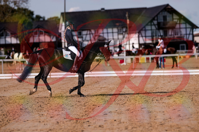 2026_10_03_Siefer-Hof_115615_Z81_96521794 | Professionelle Reitsport-, Turnier- und Eventfotografie von Robert Broda. Galerien mit ausgewählten und bearbeiteten Bildern direkt online ansehen und bestellen.