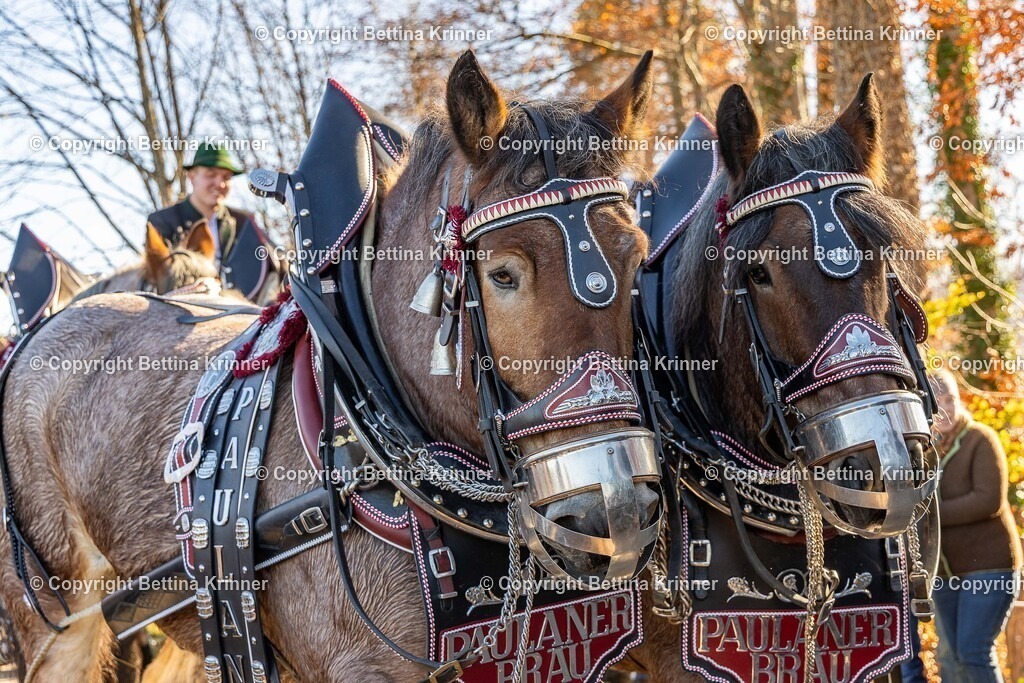 LBT25-1218 | foto-bettina-krinner - Realisiert mit Pictrs.com
