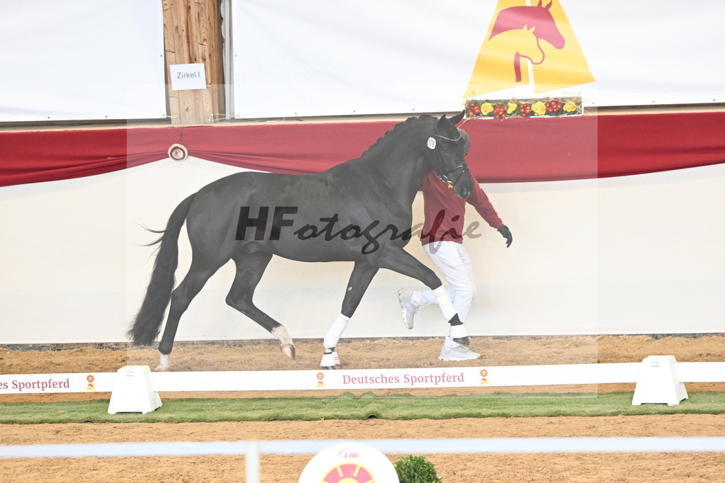 Kat.-Nr. 79 v. Toto Jr._Pfefferle_3260938 | hf-fotografie - Realizzato con Pictrs.com