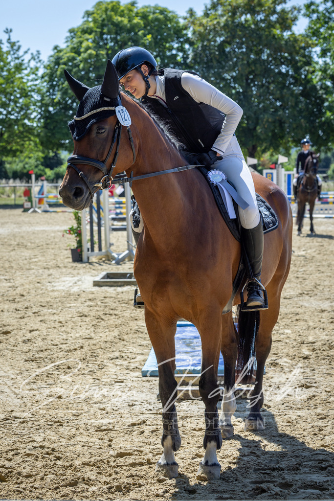 20260704-_3LI8129 | Tierfotografie Pferde, Hunde, Katzen, Haustiere.
Turnierfotografie Reitturniere, Reiten, Springreiten, Dressur in Hanau, dem Main-Kinzig-Kreis und dem Rhein-Main- Gebiet um Frankfurt