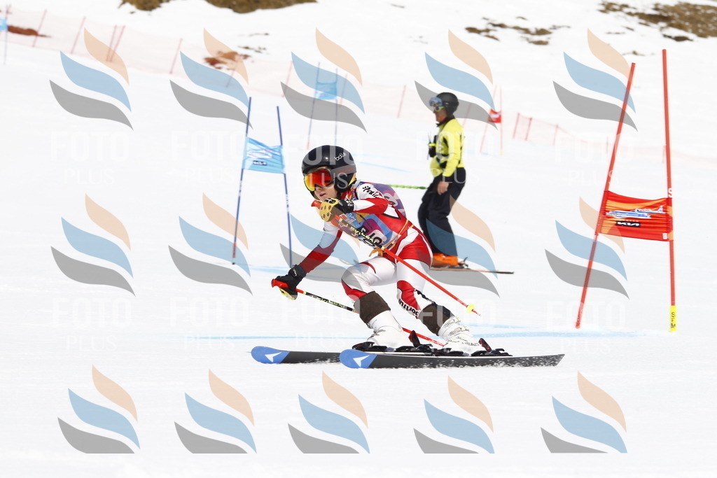 _U3G5326 | holidayphoto