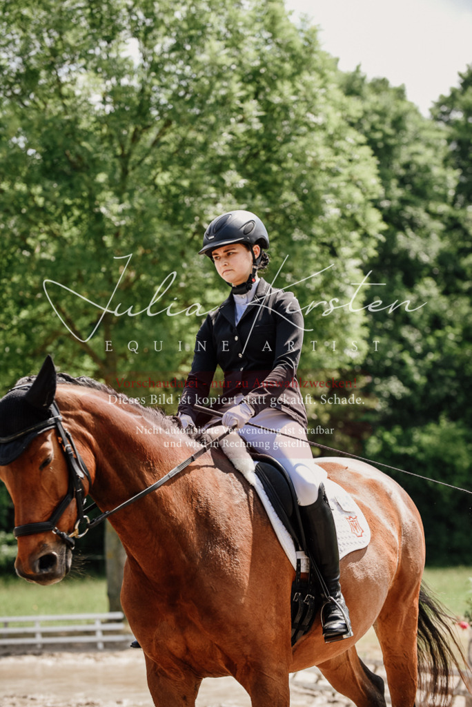 DSC_0963 | Pferde- und Turnierfotografie in Westsachsen. Pferdeportraits, Auftragszeichnungen und intuitive Kunst.