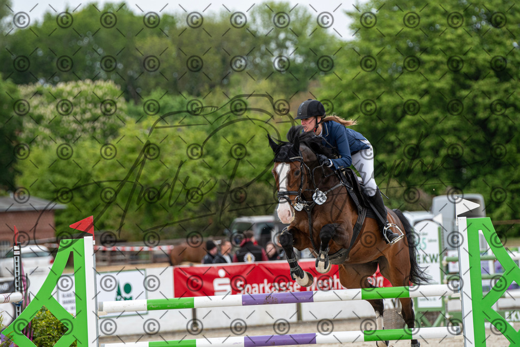 KPT_9941 | andre_photographic