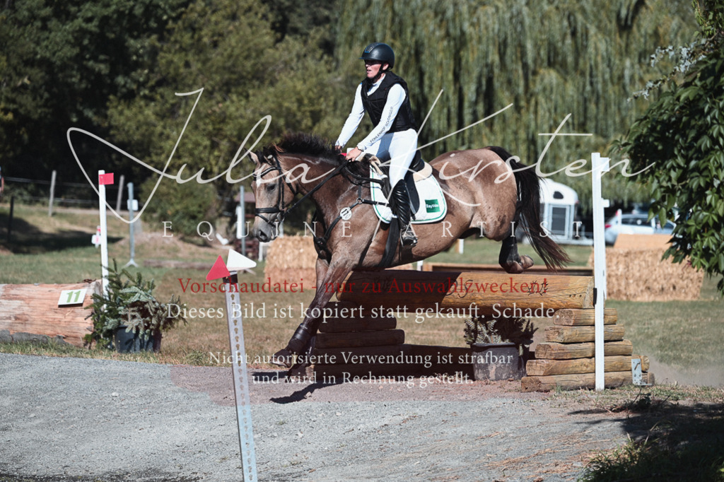 DSC_8695 | Pferde- und Turnierfotografie in Westsachsen. Pferdeportraits, Auftragszeichnungen und intuitive Kunst.