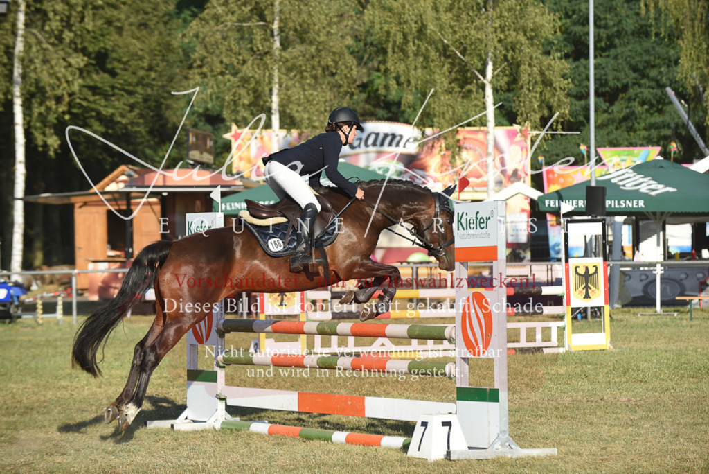 DSC_4914 | Pferde- und Turnierfotografie in Westsachsen. Pferdeportraits, Auftragszeichnungen und intuitive Kunst.