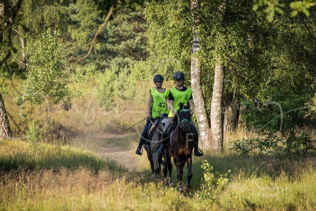 WehlenerHeide_2026-06-27_54 | Stimmungsvolle Fotografie von Pferden, fotografische Begleitung von Veranstaltungen, Golfturnieren und Distanzritten - Realisiert mit Pictrs.com
