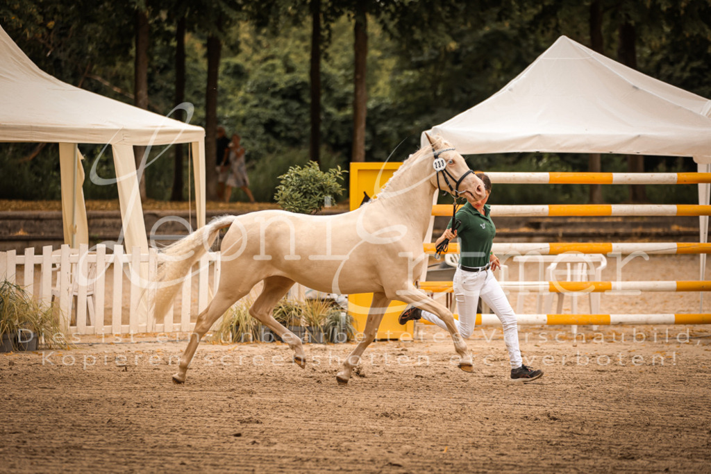 12.So00072 | Leoni Ertmer Photography - Realisiert mit Pictrs.com