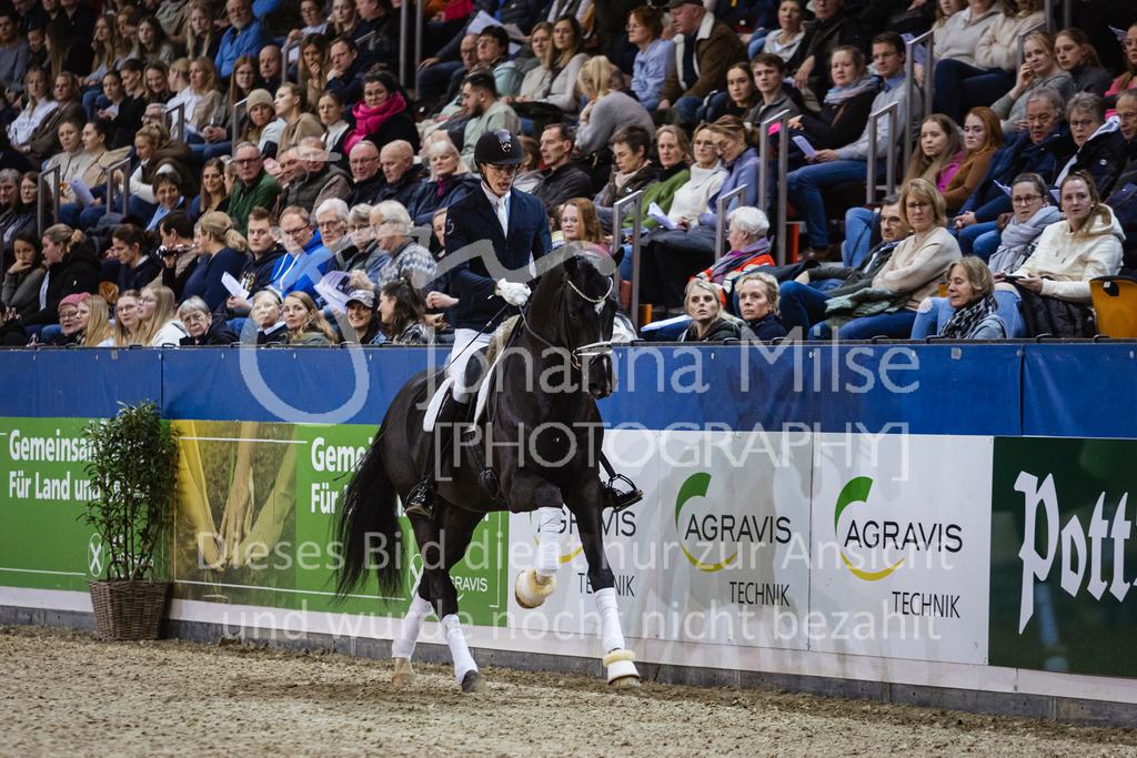 250108_Muenster_Hengstpräsentation-115 | Deine schönsten Turniermomente als professionelle Fotos! Entdecke hochwertige Pferdesport-Fotografie im Online-Shop. Jetzt Fotos finden & bestellen!