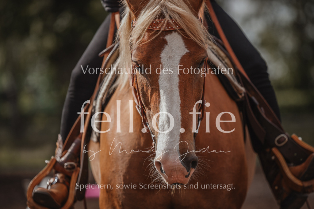 fell.o.fie_mandyjordan_2024_06_01846 | Mandy Klecke Fellfotografie, fell.o.fie Fotografenshop - Realisiert mit Pictrs.com