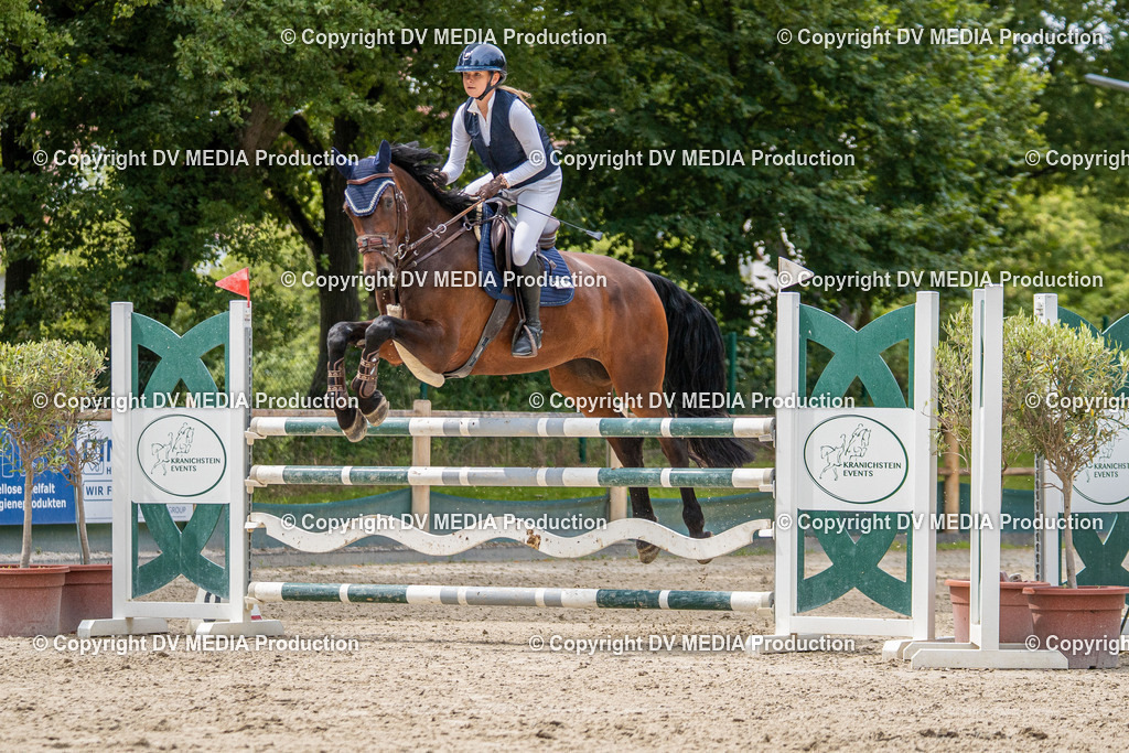 Hessische Tag 1-1425 | dv-media-shop - Realisiert mit Pictrs.com