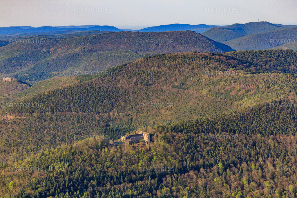 Luftbild: Burg Neuscharfeneck in Flemlingen im Bundesland Rheinland-Pfalz in Deutschland. Foto: IMG_56629.jpg vom 25.04.2013 durch Werner Riehm/FLY-FOTO.de