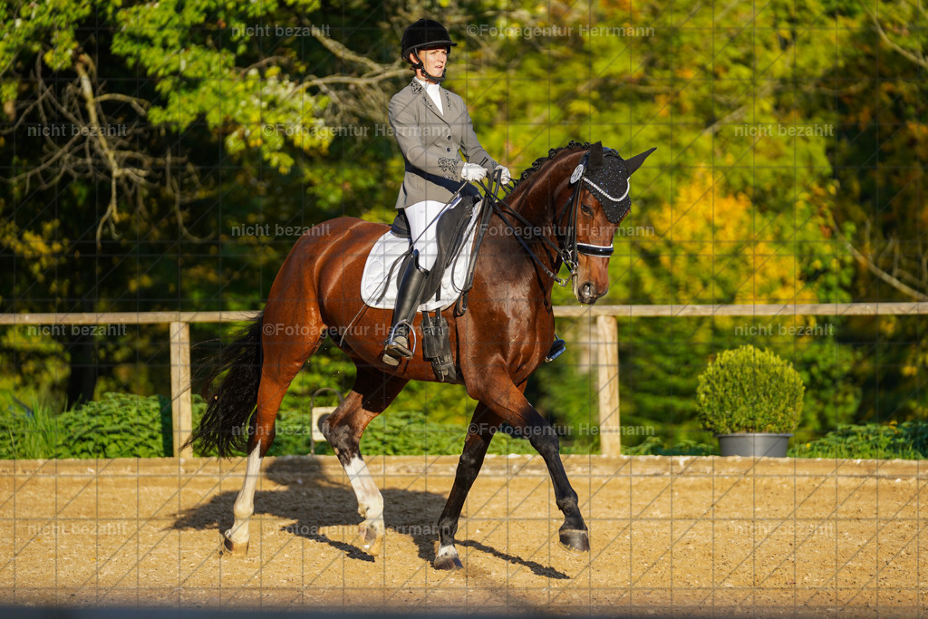 20221007-FAH00396 | Diessen am Ammersee, 2022, Dressur- und Springturnier, Reitsportbilder, Turnierfotografen Bayern, Pferdefotografen, Fotoagentur Herrmann, Turnierbilder