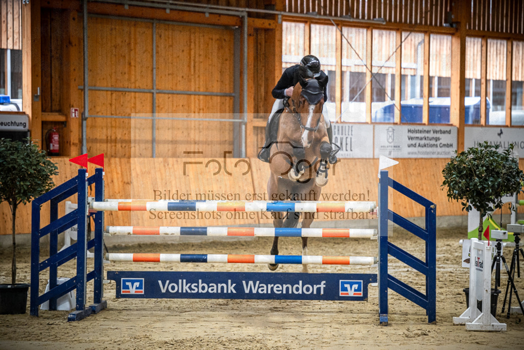 DOS_0628 | Entdecke hochwertige Reitturnierfotos von Foto Oger. Professionell, emotional und authentisch – jetzt Lieblingsmomente im Shop bestellen.Deutschlandweite Turnierfotografie. - Realisiert mit Pictrs.com