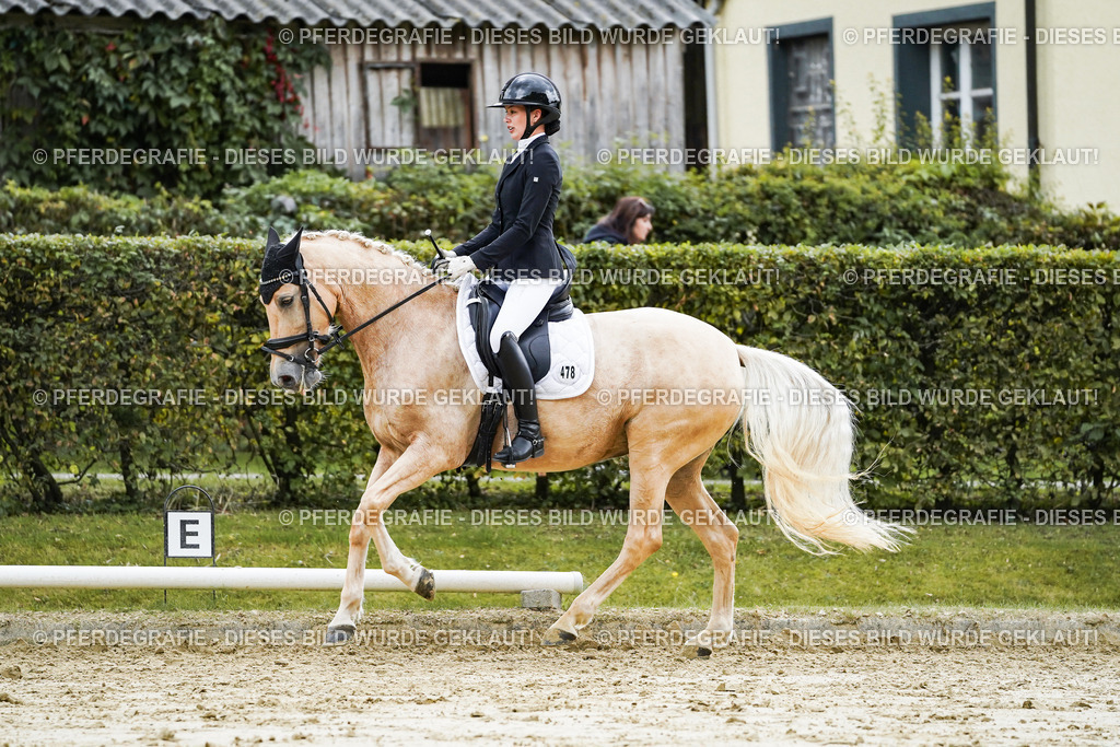 DSC06783 | Pferdegrafie