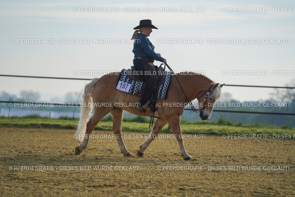 DSC00348 | Pferdegrafie