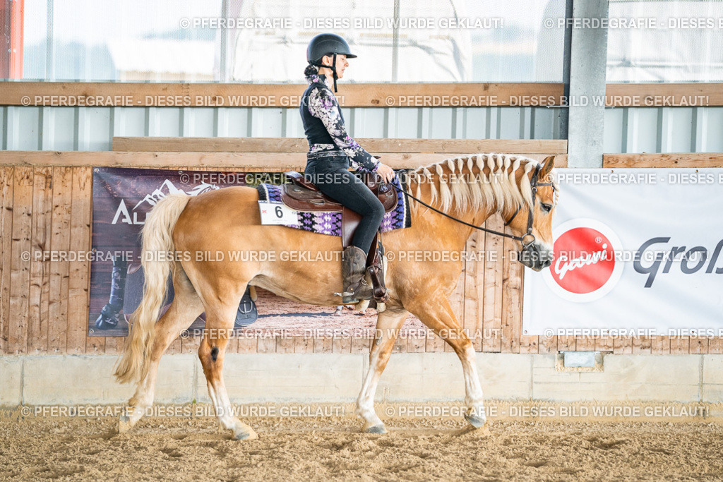 DSC08129 | Pferdegrafie