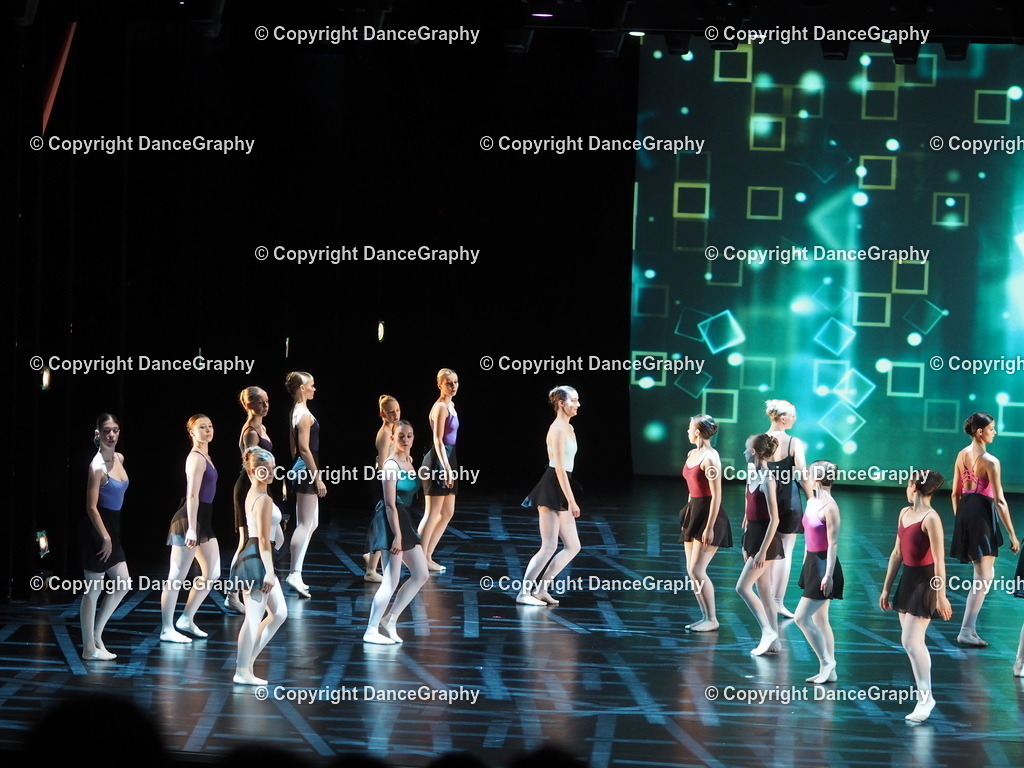 P7260387 | DanceGraphy - Realisiert mit Pictrs.com