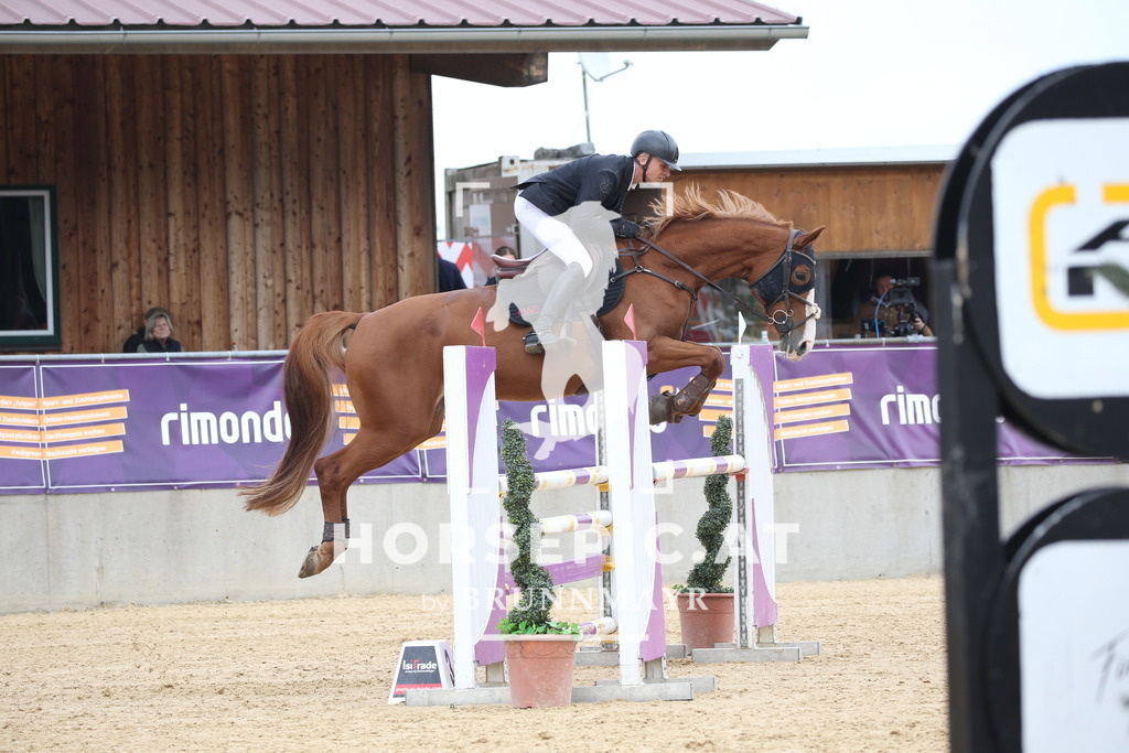 DL2Q4693 | Willkommen bei Brunnmayr - Design & Fotografie – Ihrem Spezialisten für Reitturniere und Pferdeveranstaltungen in Oberösterreich, Salzburg und Bayern! Seit über 17 Jahren sind wir leidenschaftlich dabei.