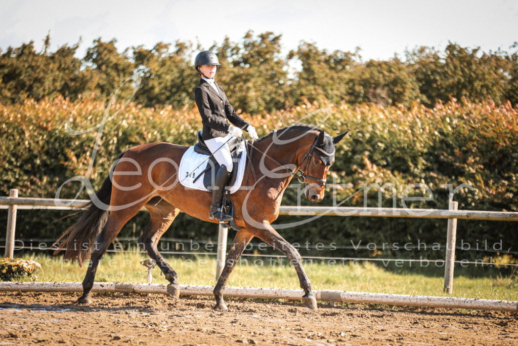 07.SoDrE00128 | Leoni Ertmer Photography - Realisiert mit Pictrs.com