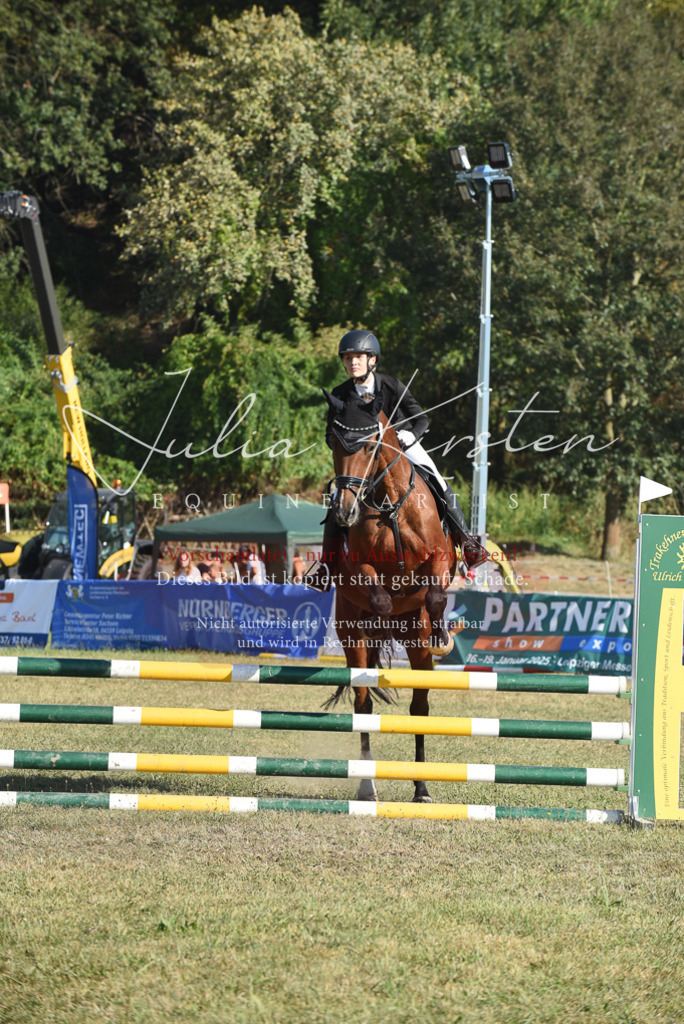 DSC_5292 | Pferde- und Turnierfotografie in Westsachsen. Pferdeportraits, Auftragszeichnungen und intuitive Kunst.