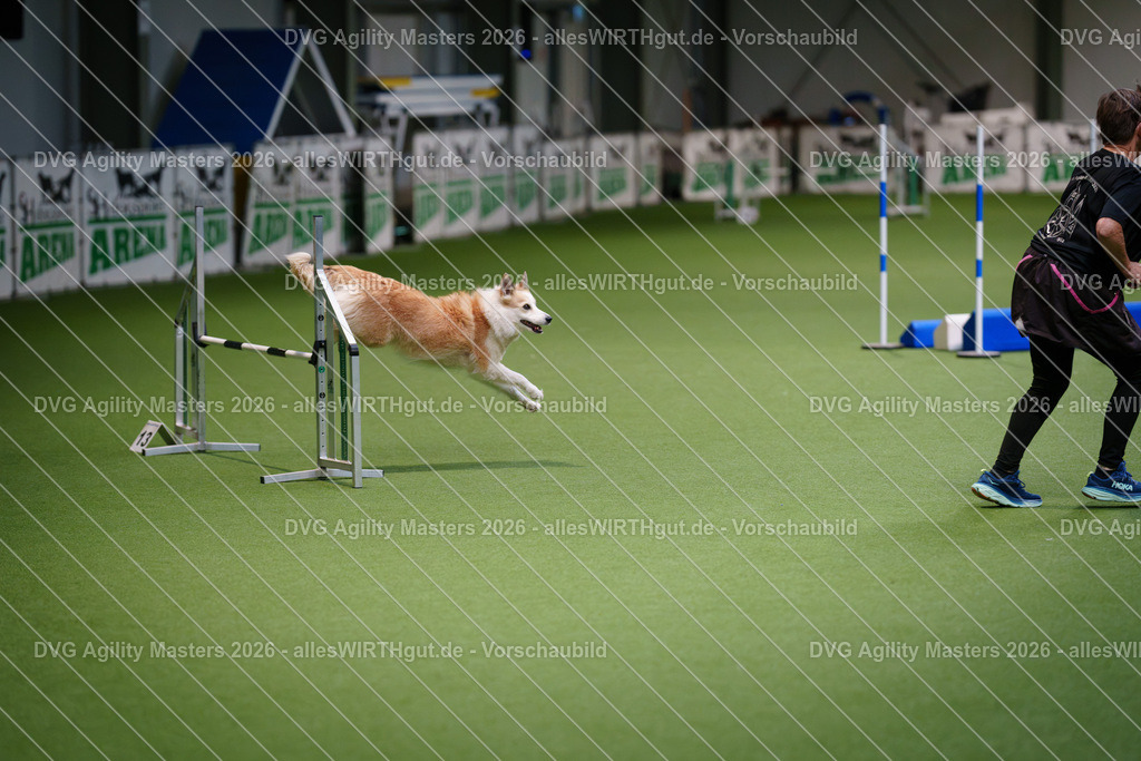 allesWIRTHgut_Tierfotografie-DVG_Agility_Masters_2026-08_25-7R500395 | Professionelle Tierfotografie in Mönchengladbach von Daniel Wirth (allesWIRTHgut). Liebevolle & natürliche Bilder von Hunden & Katzen für unvergessliche Erinnerungen.