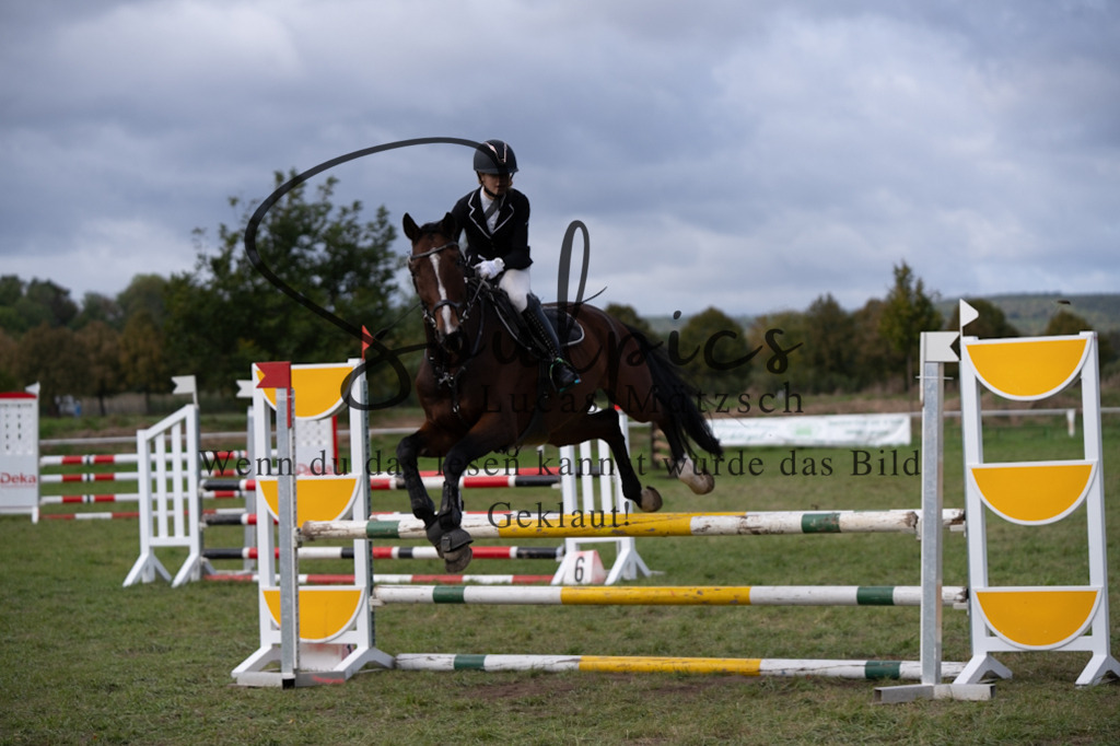 A7V06744 | Pferdefotograf