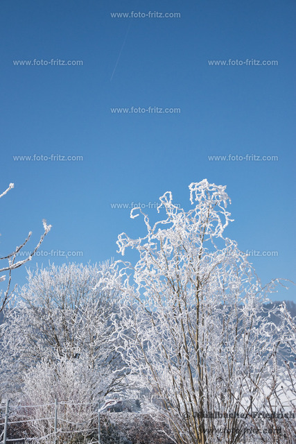 JAN_1324 | www.foto-fritz.com - Realisiert mit Pictrs.com