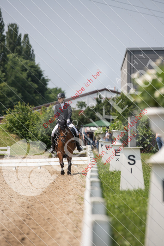 IMG_3556 | Sport-, Event- und Tierfotos in Profiqualität. Einfach auswählen, bestellen und herunterladen. Dein Moment – perfekt festgehalten.