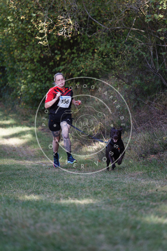 0L8A5678 | Hundefotografie, Tierfotograf, Pfotenfotografie, Fotoshooting Hund, Hunde Portrait, Hundesport, Hundeportraits, Heideshooting, Hunde, Sportfotograf, Hundefotograf, Turnierhundsport, THS,  - Realisiert mit Pictrs.com