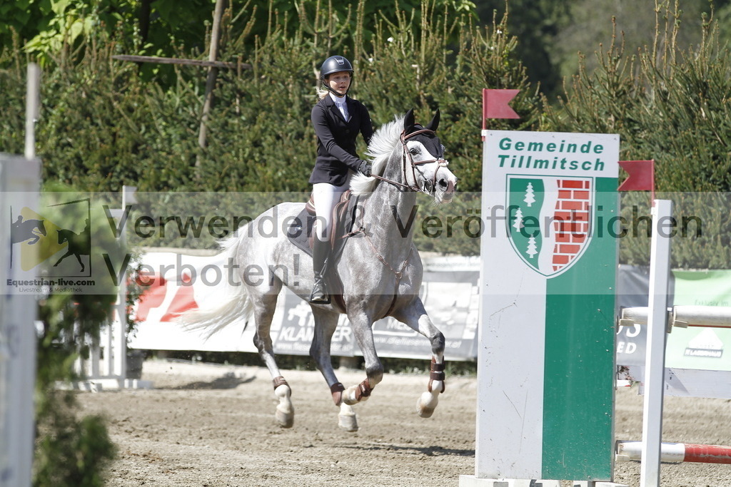 _MG_6471 | equestrian-live-com