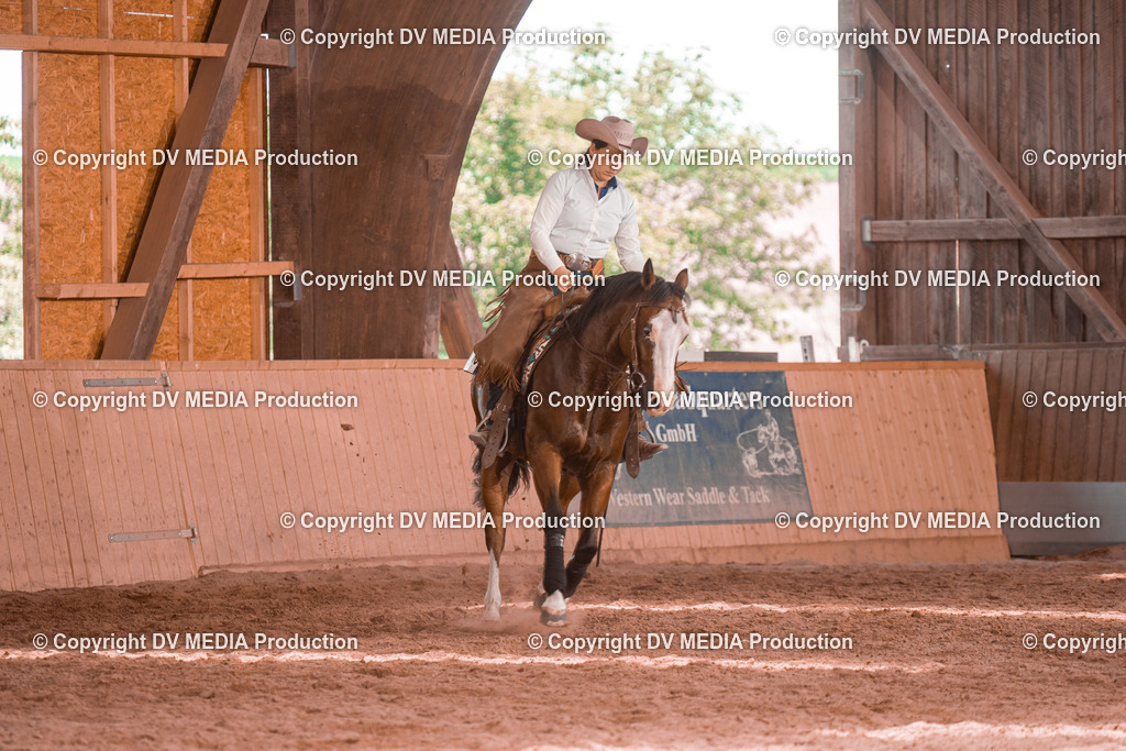 NE300488 | dv-media-shop - Realisiert mit Pictrs.com