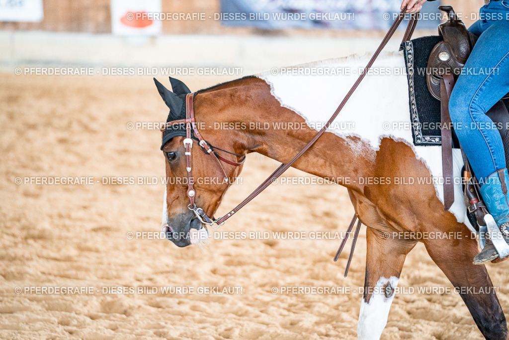 DSC09767 | Pferdegrafie