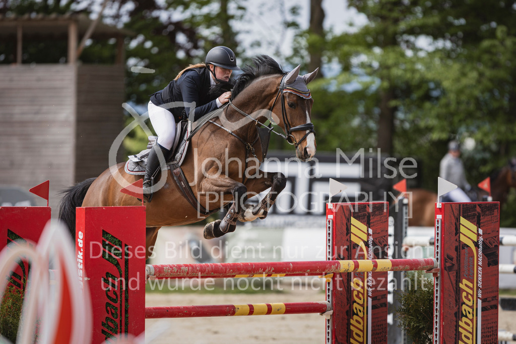 250504_SpengeW_M2-Spr-452 | Deine schönsten Turniermomente als professionelle Fotos! Entdecke hochwertige Pferdesport-Fotografie im Online-Shop. Jetzt Fotos finden & bestellen!