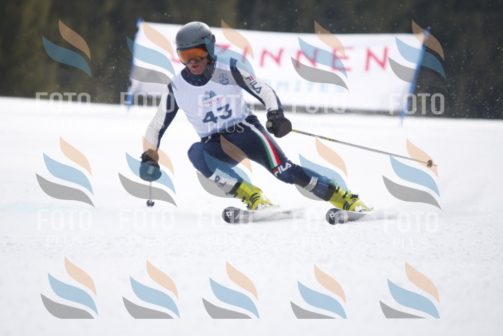 D5336 | holidayphoto