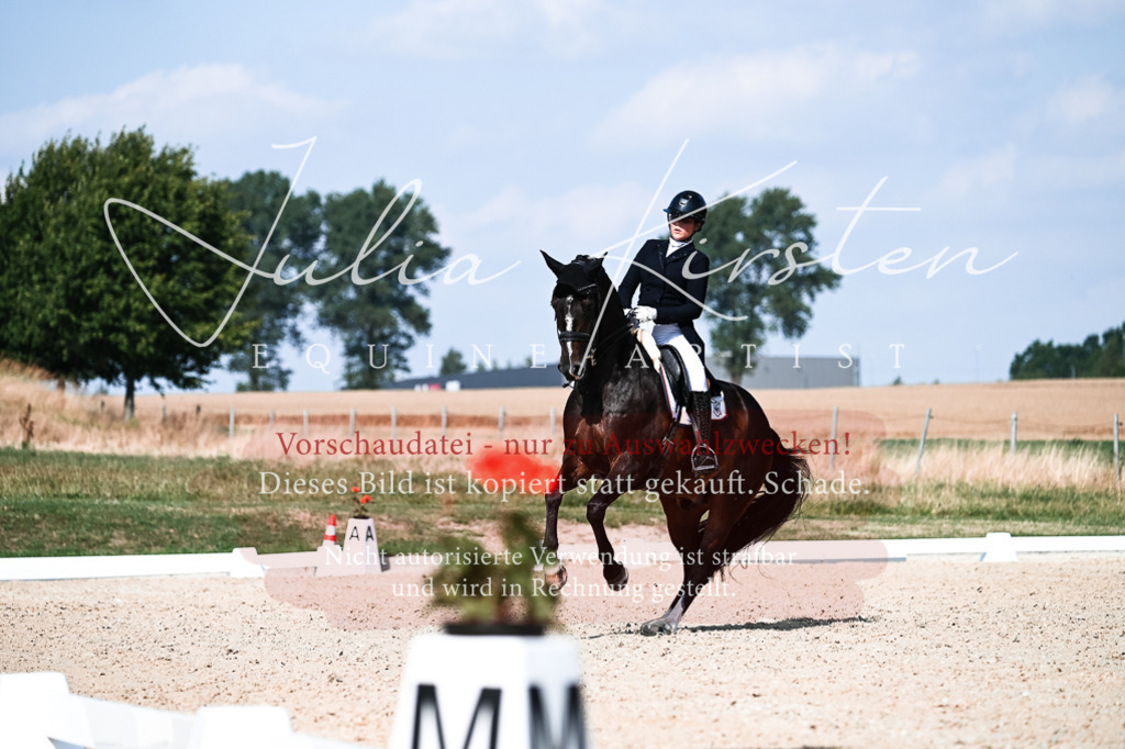DSC_3389 | Pferde- und Turnierfotografie in Westsachsen. Pferdeportraits, Auftragszeichnungen und intuitive Kunst.