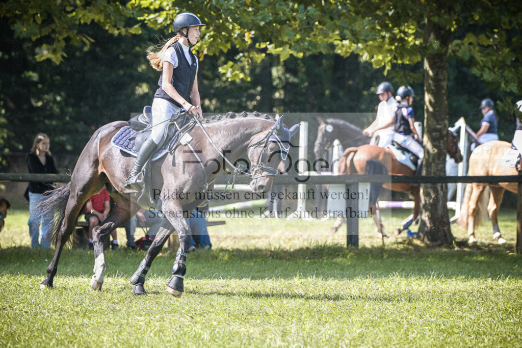 DOS_0340 | Entdecke hochwertige Reitturnierfotos von Foto Oger. Professionell, emotional und authentisch – jetzt Lieblingsmomente im Shop bestellen.Deutschlandweite Turnierfotografie. - Realisiert mit Pictrs.com