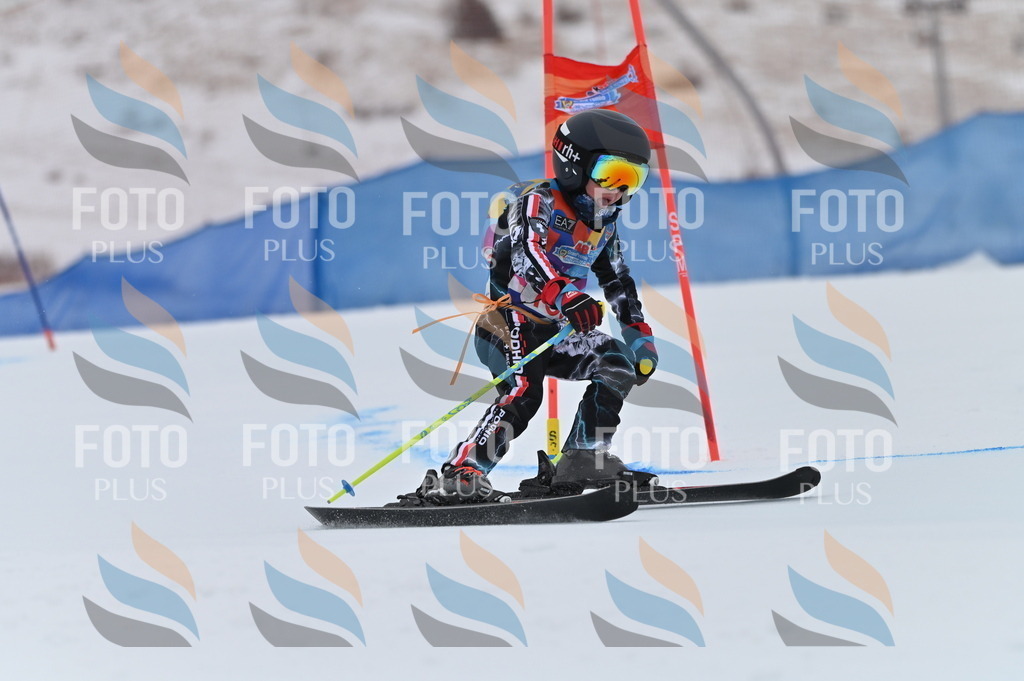 BGV_0379 | holidayphoto