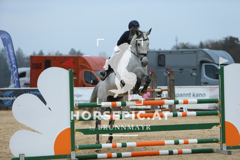 DL2Q7029 | Willkommen bei Brunnmayr - Design & Fotografie – Ihrem Spezialisten für Reitturniere und Pferdeveranstaltungen in Oberösterreich, Salzburg und Bayern! Seit über 17 Jahren sind wir leidenschaftlich dabei.
