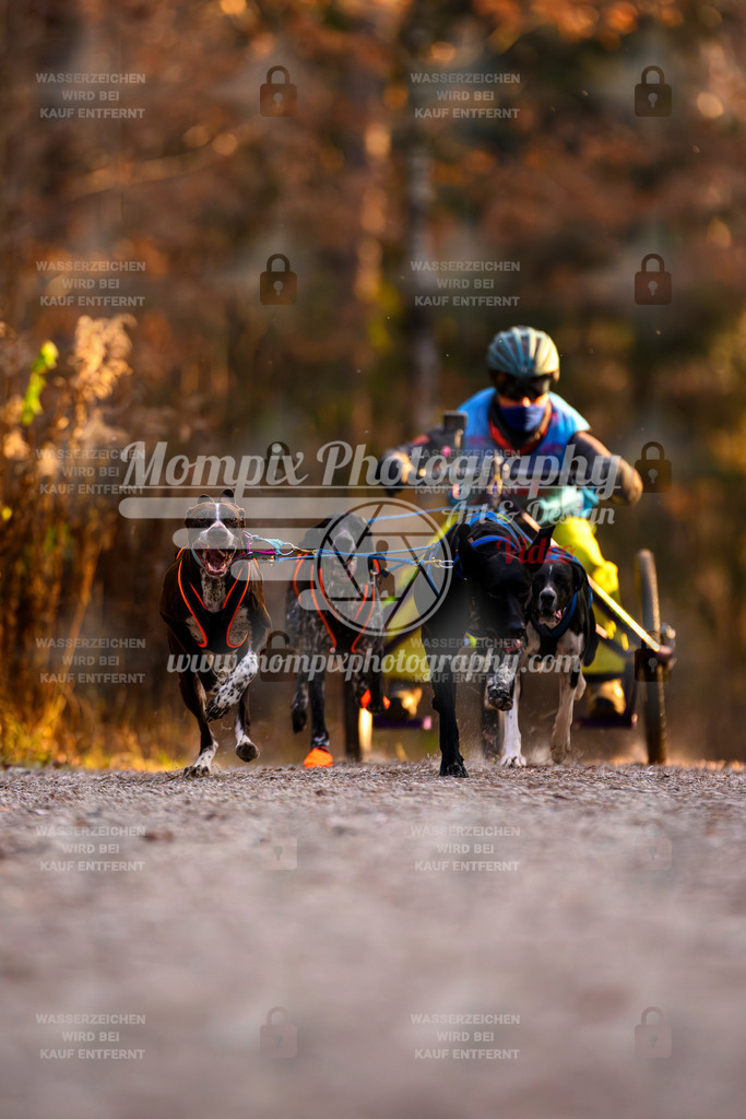 MompixPhotography_DM_AKDM_SO_2025_Wagen-29 | PayLife