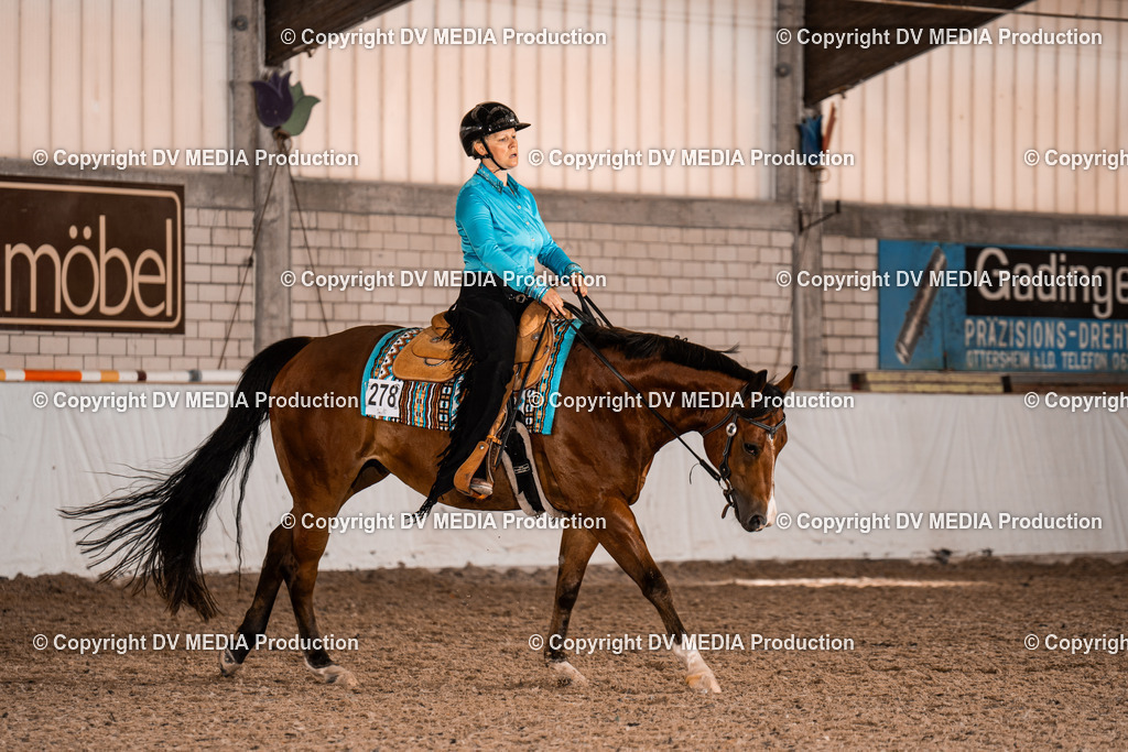 ZH100169 | dv-media-shop - Realisiert mit Pictrs.com