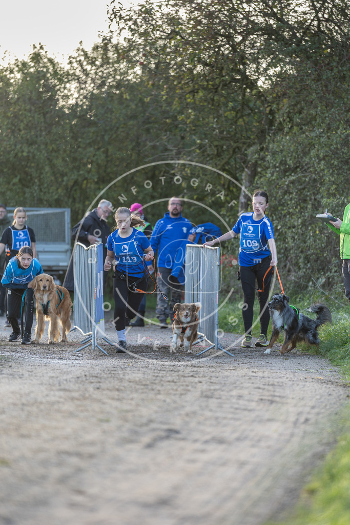 Pfotenfotografie.de_DV3A2494 | Hundefotografie, Tierfotograf, Pfotenfotografie, Fotoshooting Hund, Hunde Portrait, Hundesport, Hundeportraits, Heideshooting, Hunde, Sportfotograf, Hundefotograf, Turnierhundsport, THS, canicross - Realisiert mit Pictrs.com