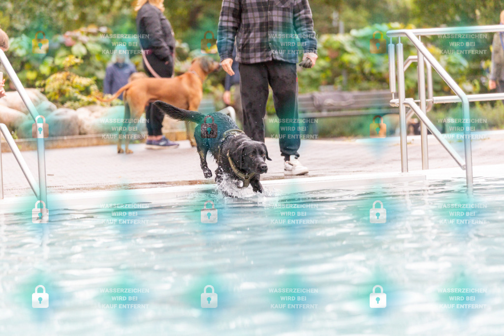 _HP_7325_1000o | HetPix, HetPix Fotodesign, Fotografie, Fotodesign, Webshop, Sportfotografie, Portraitfotografie, Onlineshop, Sportfotografie, Polch, Motorsportfotografie, Eventfotografie