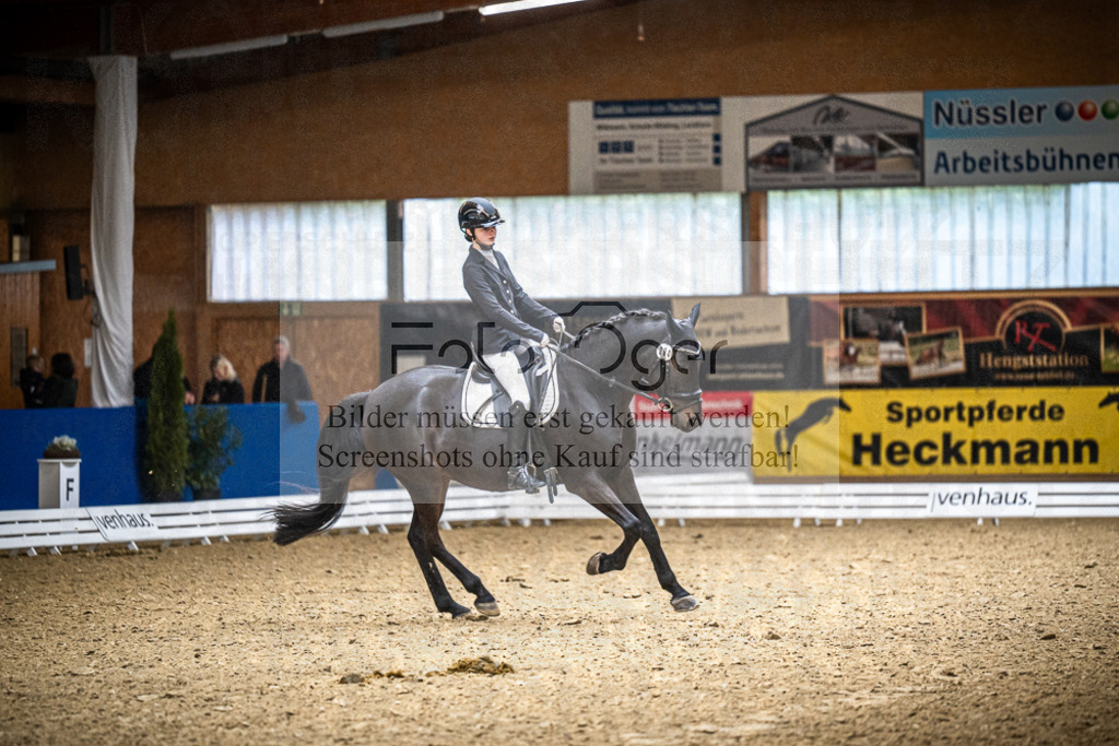DOS_1182 | Entdecke hochwertige Reitturnierfotos von Foto Oger. Professionell, emotional und authentisch – jetzt Lieblingsmomente im Shop bestellen.Deutschlandweite Turnierfotografie. - Realisiert mit Pictrs.com