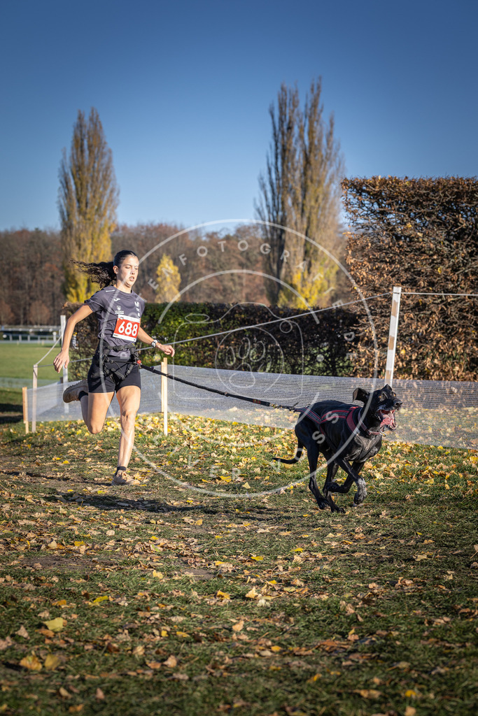 CaniXpix_DV3A1225 | Hundefotografie, Tierfotograf, Pfotenfotografie, Fotoshooting Hund, Hunde Portrait, Hundesport, Hundeportraits, Heideshooting, Hunde, Sportfotograf, Hundefotograf, Turnierhundsport, THS,  - Realisiert mit Pictrs.com