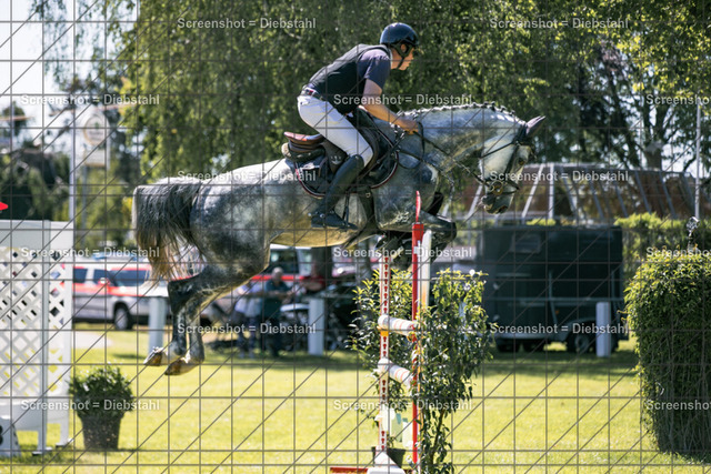_W6A1052 | ronjaprokoschfotografie - Realisiert mit Pictrs.com